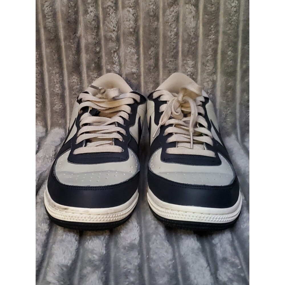 Size 11 - MENS Nike Terminator Low Georgetown